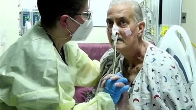 التقرير الشرعي يؤكد أن أول مريض تلقى قلب خنزير في العالم كان غير مؤهل 