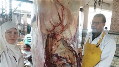 بيطري المنوفية: فتح 30 مجزرا بالمجان أمام المواطنين طوال أيام عيد الأضحى