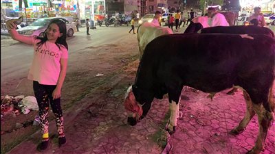 سيلفي مع الخراف.. شوارع بورسعيد تمتلئ بالأطفال فرحًا بعيد الأضحى المبارك