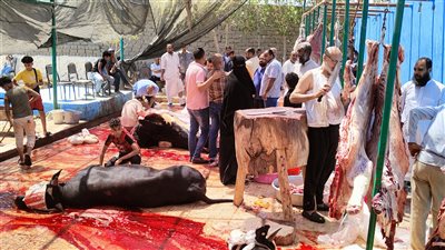 إقبال على مجزر الغردقة لذبح الأضاحي.. وغرامة 50 ألف للذبح في الشوارع| بث مباشر 