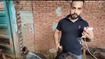 طبيب بجامعة طنطا يكشف تربيته الماعز القبرصي: غاوي السلالات النادرة │ بث مباشر