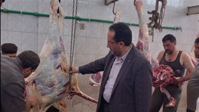 كافة الخدمات مجانية.. بيطري كفر الشيخ: تم ذبح 584 رأس ماشية بمناسبة عيد الأضحى 