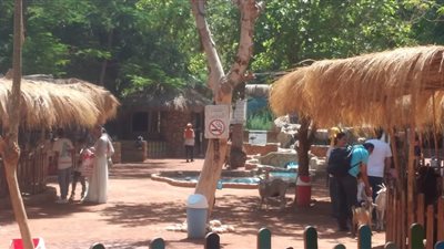 الزراعة: 25 ألف زائر لحديقة الحيوان.. و6500 رأس ماشية ذبحت بالمجازر الحكومية