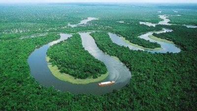 علماء يطلقون تحالفا بحثيا في كوب 28 لصالح الغابات المطيرة في الكونغو