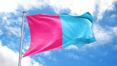 بعد تجاوزها 2 مليون متابع.. القصة الكاملة لغلق فيسبوك صفحة مبادرة فطرة للتوعية ضد المثلية الجنسية