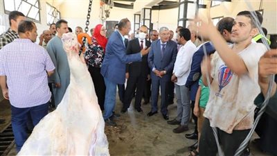 الطب البيطري بالمنيا: المجازر الحكومية استقبلت 1292 رأس ماشية خلال عيد الأضحى