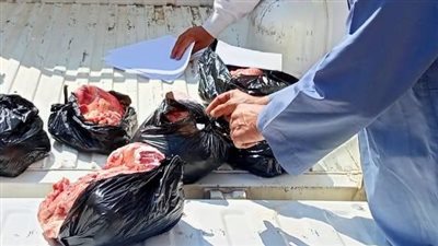 ذبح 8 عجول وتوزيع لحومها على أهالي قرى حياة كريمة بالشرقية