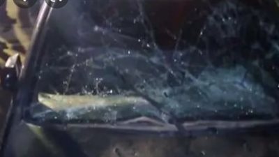 دون إصابات.. تحطم 3 سيارات إثر سقوط أشجار عليها بميدان الاتحاد في المعادي 