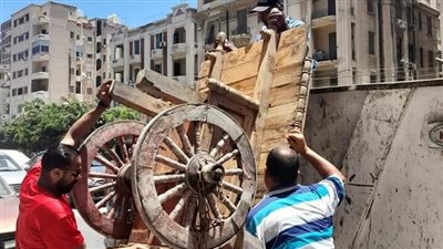 حي شرق الإسكندرية يضبط 300 مخالفة خلال أيام عيد الأضحى