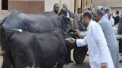 اليوم.. بدء الحملة القومية للتحصين ضد «الحمي القلاعية والوادي المتصدع» بكفر الشيخ