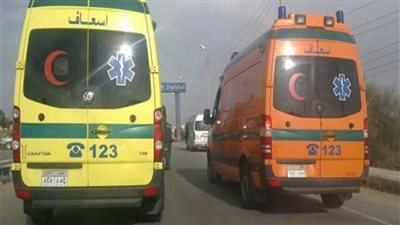 ننشر الحالة الصحية للمصابين في حادث تصادم ميكروباص وسيارة نقل بالمنوفية| أسماء