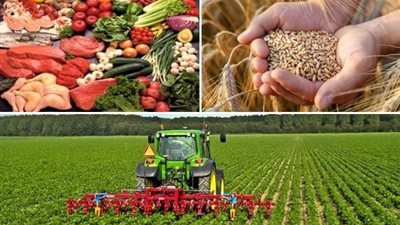 البنك الدولي: تزايد معدلات الهشاشة والصراع حول العالم أدى إلى تعميق أزمة انعدام الأمن الغذائي