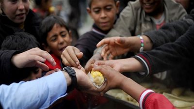 منظمات دولية تدعو للاستثمار في الزراعة لمواجهة أزمة الأمن الغذائي