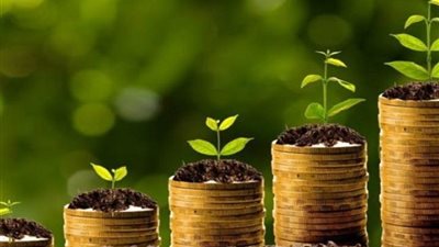 دراسة تكشف أثر الاستثمار الأجنبي على الحماية البيئية في مصر