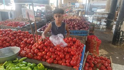 حلمي أكون مهندس.. أصغر بائع خضار بالإسماعيلية: بطلع من المدرسة على الفرشة عشان أساعد أهلي │ فيديو