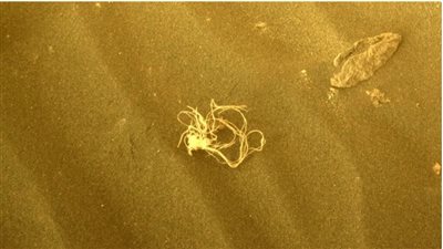 على شكل مكرونة اسباجتي.. ناسا تنشر صورة لجسم غريب من المريخ تثير الجدل