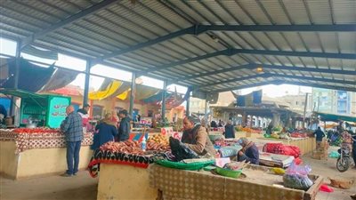 شعبة الخضروات والفاكهة: استقرار الأسعار في الإسماعيلية رغم زيادة أسعار الوقود