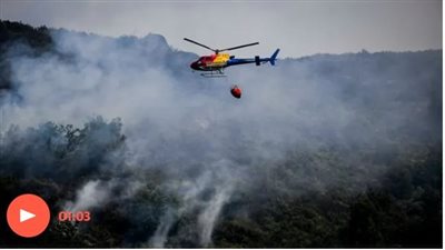 درجة الحرارة 45.. حرائق تجتاح أوروبا بسبب الحر الشديد