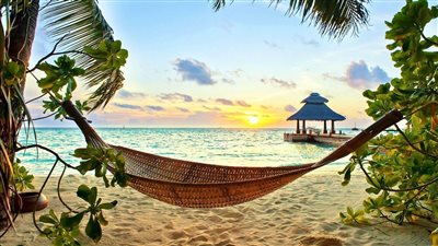 5 خطوات من أجل تعيين خلفيات كمبيوتر بحجم الشاشة