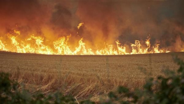 الحرائق في أوروبا