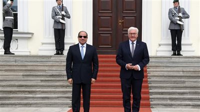 السيسي يلتقي رئيس ألمانيا الاتحادية 