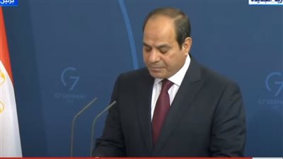 السيسي: ملتزمون بصون وحماية حقوق الإنسان في مصر