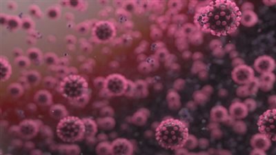 فتاك ويسبب الوفاة.. أعراض فيروس ماربورج بعد إعلان الصحة العالمية تفشيه في غانا | بث مباشر