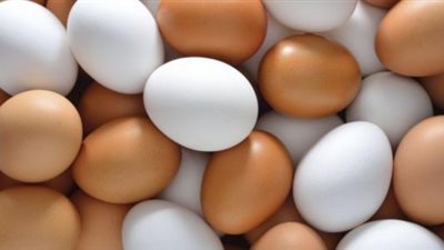 في الإسكندرية بـ85 جنيها والدقهلية بـ68.. تفاوت أسعار البيض بالمحافظات