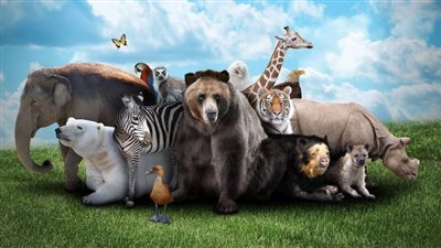 صور حيوانات أليفة وأخرى مفترسة بجودة عالية