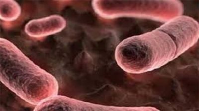 بعد تسجيل الحالة الأولى في الصين.. تعرف على أعراض مرض الطاعون الدبلي «الموت الأسود»