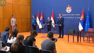 أبرزها القضية الفلسطينية والأزمة الأوكرانية.. السيسي يؤكد تبادل الرؤى مع نظيره الصربي في القضايا الدولية