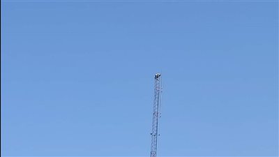 على طريقة أبو العربي.. شاب يهدد بالانتحار للحصول على شقة والمحافظة تستجيب له بجنوب سيناء