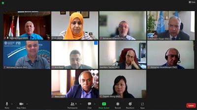 الفاو: أزمة الغذاء العالمية تتطلب تعاونا بين قطاعي المياه والزراعة 