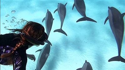 المقصد السياحي المصري يحصد المركز الـ 9 ضمن 17 مقصدًا إقبالا للسفر إليه لعام 2023