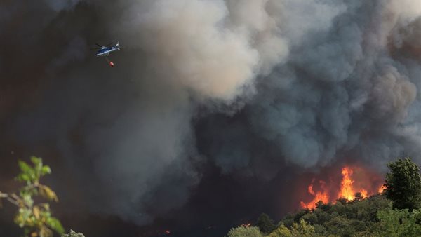 حرائق الغابات 