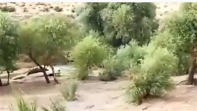 قتلى ومفقودون في سيول تضرب جنوب إيران | فيديو