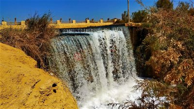 العظمى 37.. طقس شديد الحرارة بالفيوم