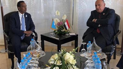 وزير الخارجية يلتقي نظيره الصومالي على هامش منتدى أسوان