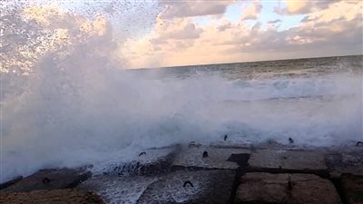 الإسكندرية ترفع درجة الطوارئ القصوى لمواجهة عدم الاستقرار في الأحوال الجوية