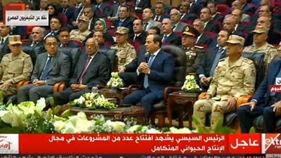 السيسي: الوضع الراهن يقودنا لخسارة بحيرات مصر.. والدولة تحاول استعادتها