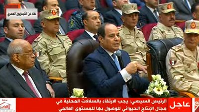 السيسي: “سيطرنا على أسعار اللحوم والأمور ماشية زي ما خططنا”