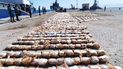 استعدادًا لترويجها في الكريسماس.. ضبط عاطل بحوزته نصف كيلو هيروين بالقليوبية