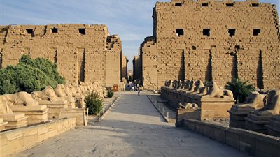 مسئول بالآثار يكشف تفاصيل نقل 4 كباش من الكرنك لتزيين ميدان التحرير