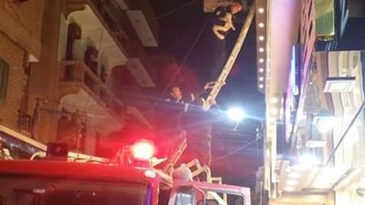 وسط هتافات وزغاريد.. الحماية المدنية تنقذ قطة علقت أعلى واجهة محل بطنطا (صور)