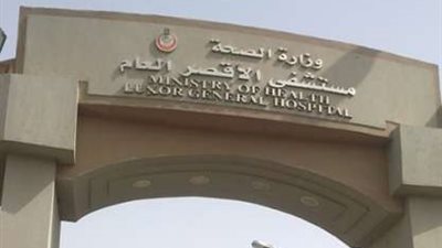 إنشاء مستشفى لأورام الأطفال.. “صحة الأقصر” تكشف أهم مشروعات المديرية خلال 2019