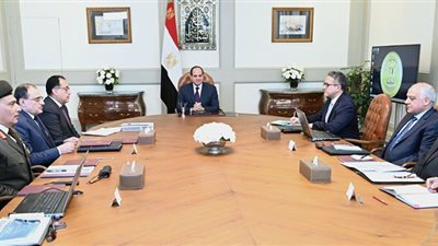 السيسي يوجه للالتزام بالجدول الزمني لتنفيذ مشروع المتحف المصري الكبير