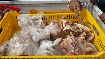 ضبط 7 أطنان ونصف دواجن غير صالحة للاستهلاك الآدمي بالشرقية