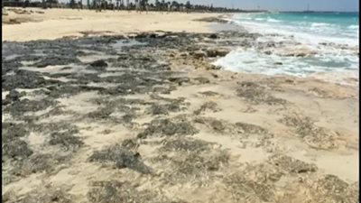 البيئة: إيقاف أعمال التكريك لمعالجة ظاهرة نحر شواطئ الساحل الشمالي