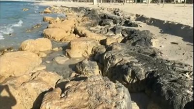 لجنة عاجلة لمعاينة مراسي.. أول رد من البيئة على ظاهرة نحر شواطئ الساحل الشمالي