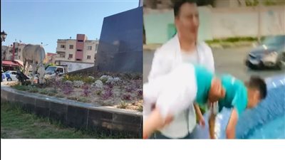 على طريقة أمير الظلام.. أطفال وكلاب يسبحون في نافورة ببورسعيد وحمار يأكل من الأزهار بميدان ستالينجراد | فيديو